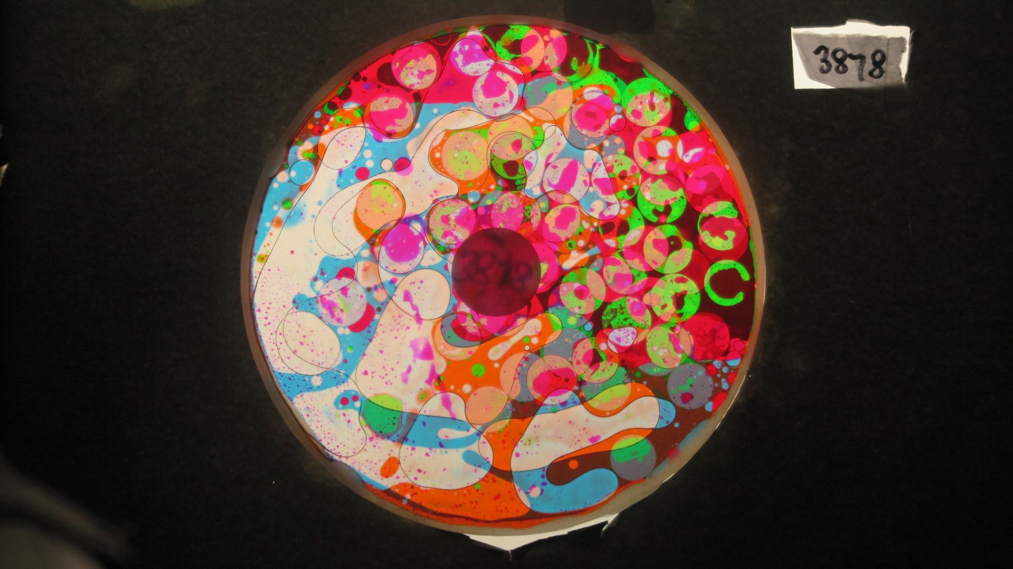 BV3878 bubble vision oil wheel